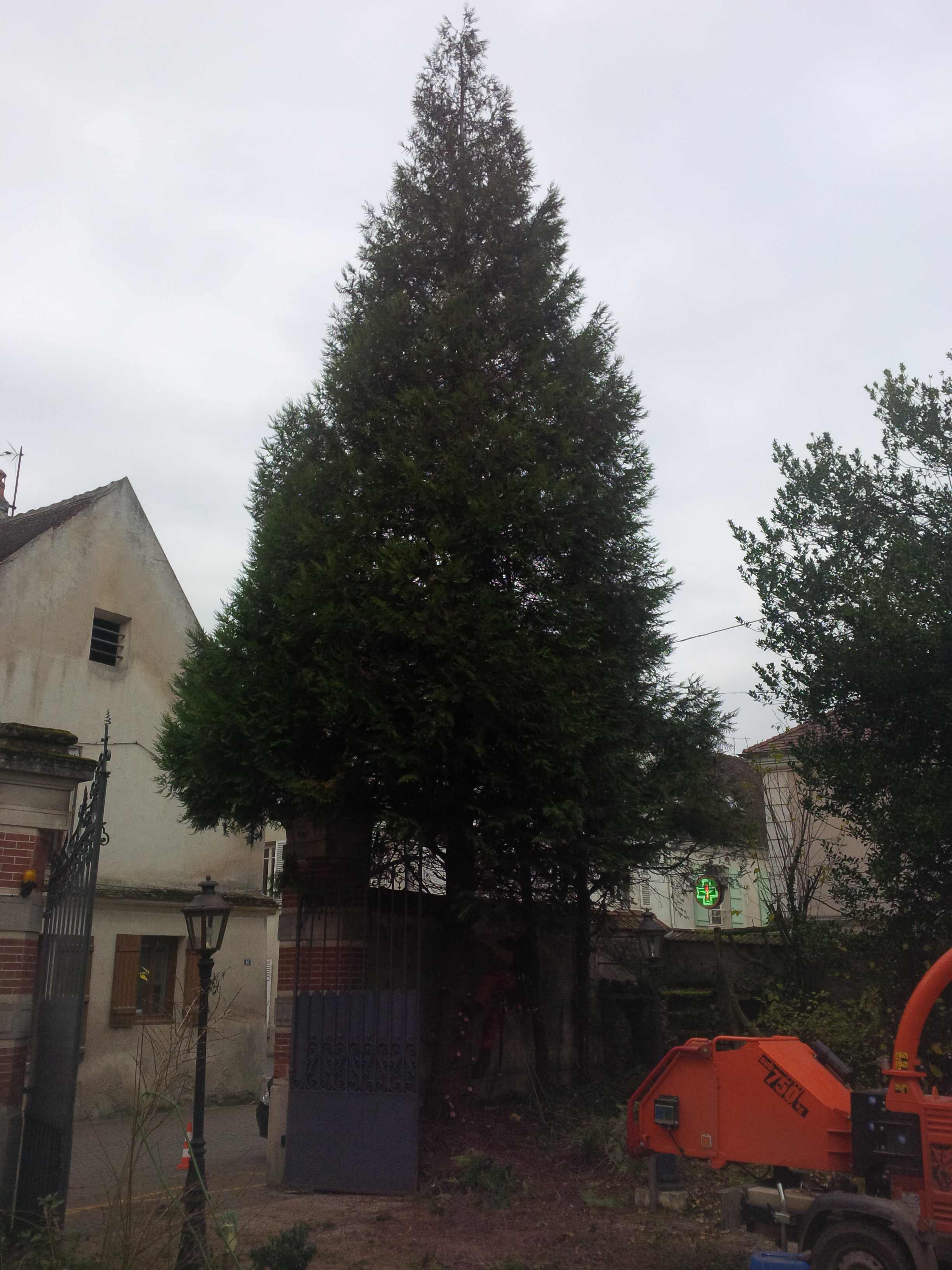 elagage abattage Chezy sur marne 02570